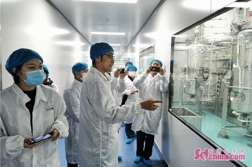 石藥集團(tuán)煙臺生物醫(yī)藥高科技產(chǎn)業(yè)園 全國最大生物醫(yī)藥產(chǎn)業(yè)化基地的科技力量